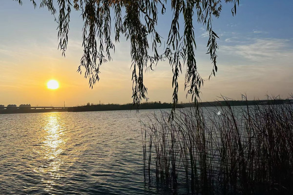 沈阳血管健康守护者：专注微创，做静脉曲张的医院精治下肢顽疾！